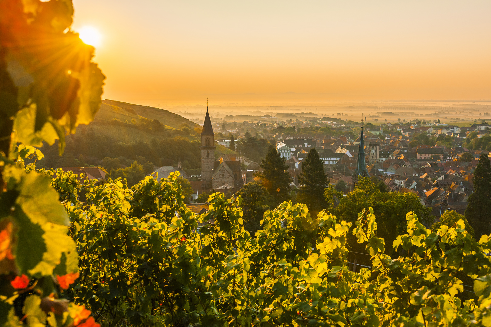 Sonnenaufgang über Ribeauvillé