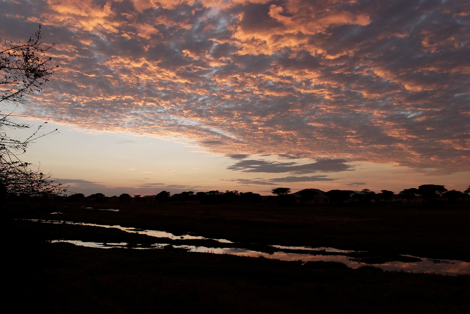 Sonnenaufgang über Ruaha-River