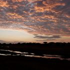 Sonnenaufgang über Ruaha-River