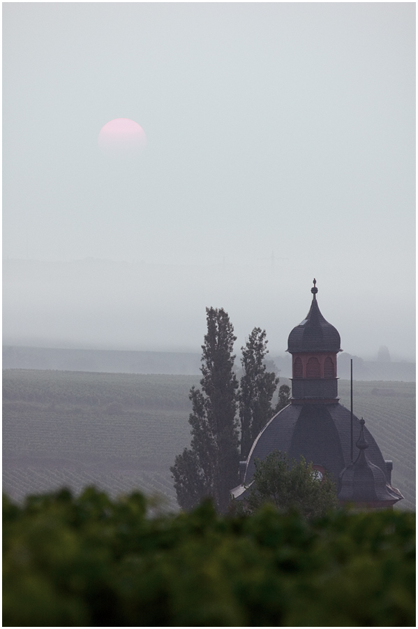 Sonnenaufgang über Schloß Vollrads