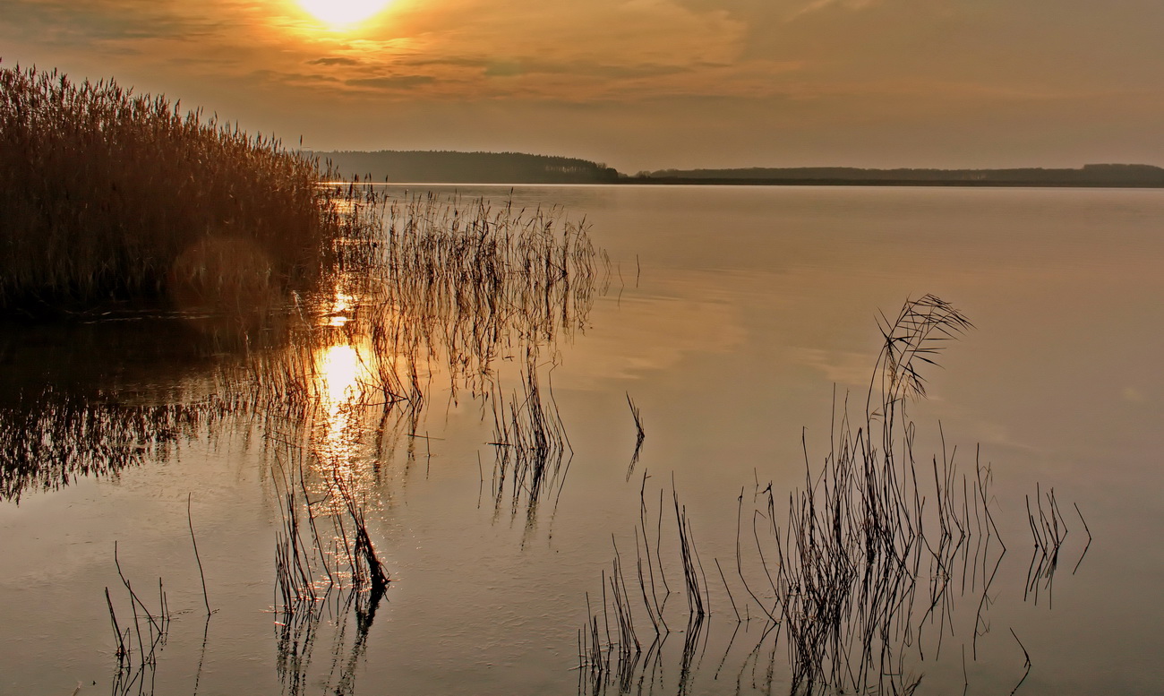 Sonnenaufgang über Strelasund