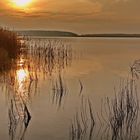 Sonnenaufgang über Strelasund