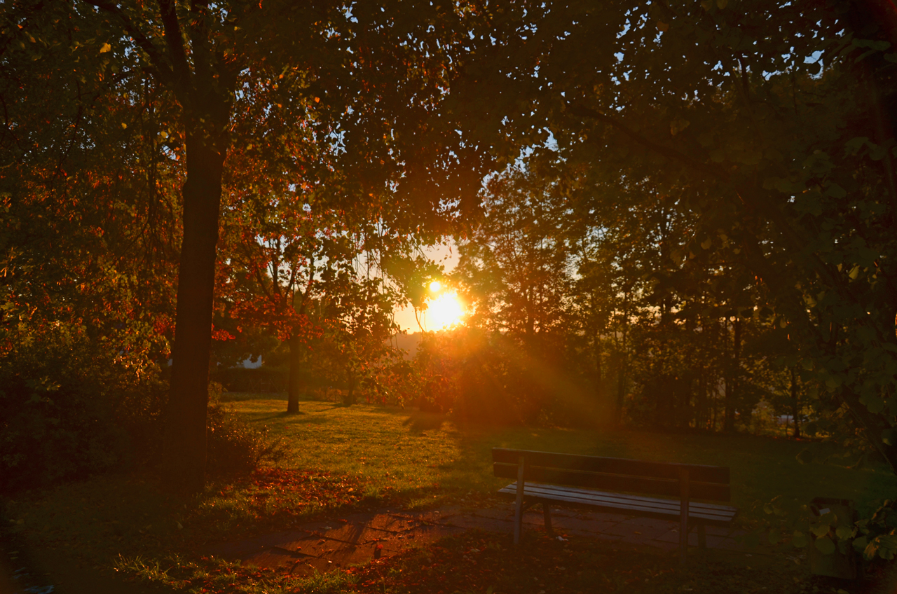 Sonnenaufgang über Stuttgart-Mönchfeld