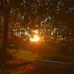 Sonnenaufgang über Stuttgart-Mönchfeld