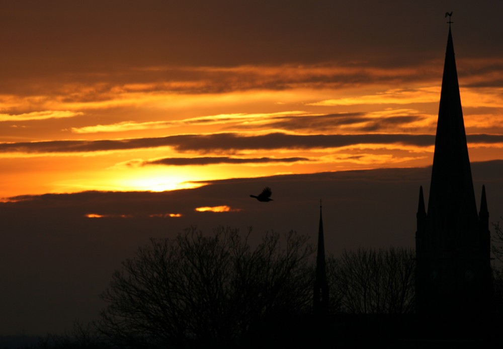 Sonnenaufgang über Suderwich