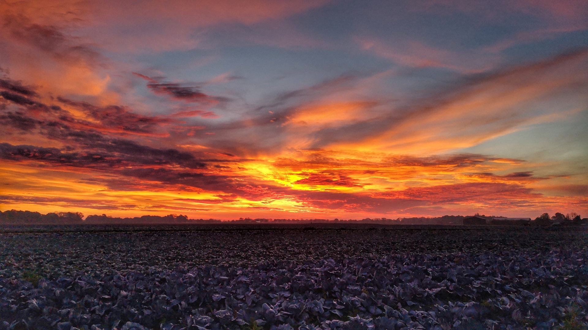 Sonnenaufgang über Tönisvorst