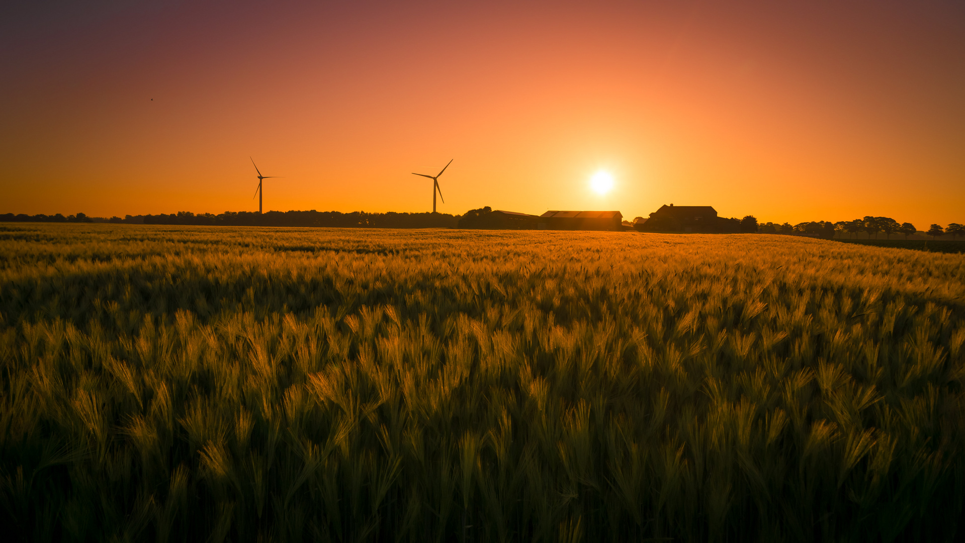 Sonnenaufgang über Wachtendonk