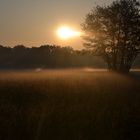 Sonnenaufgang über Wiesenlandschaft