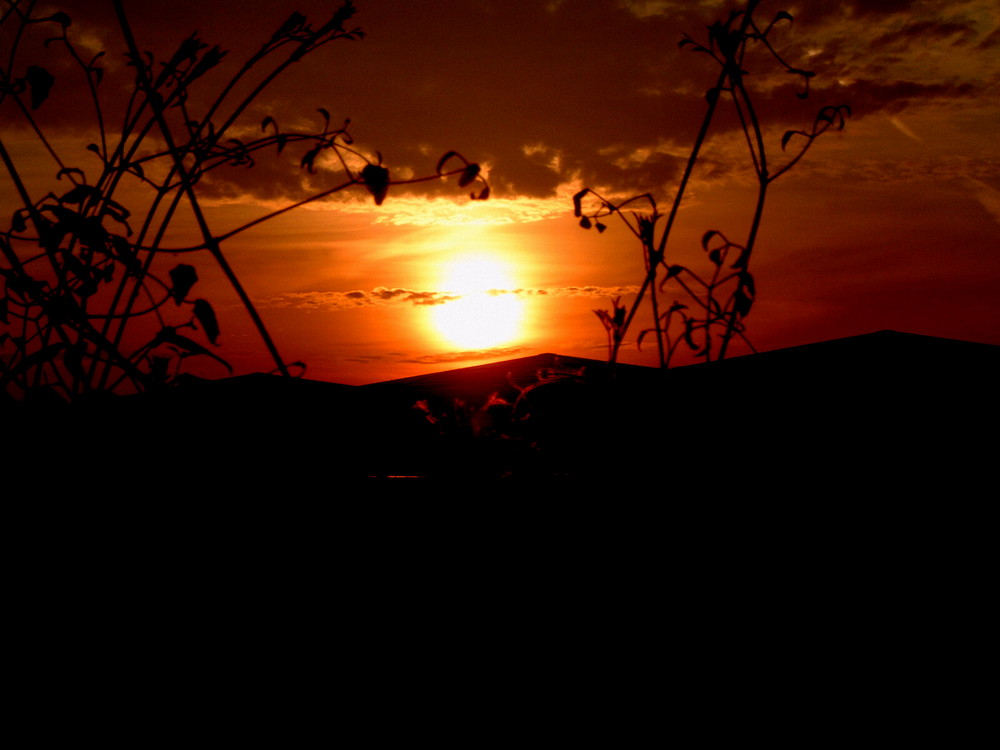 Sonnenaufgang über Wolfsburg 2