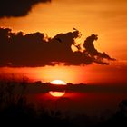 sonnenaufgang über yangon