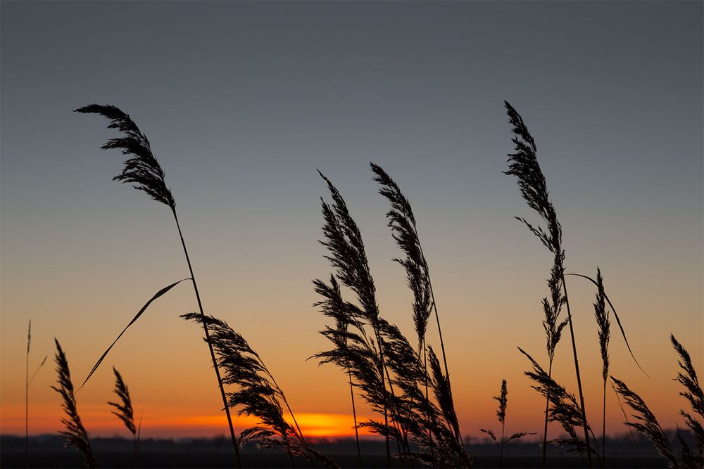 ... Sonnenaufgang über Zeeland ...