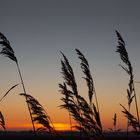 ... Sonnenaufgang über Zeeland ...