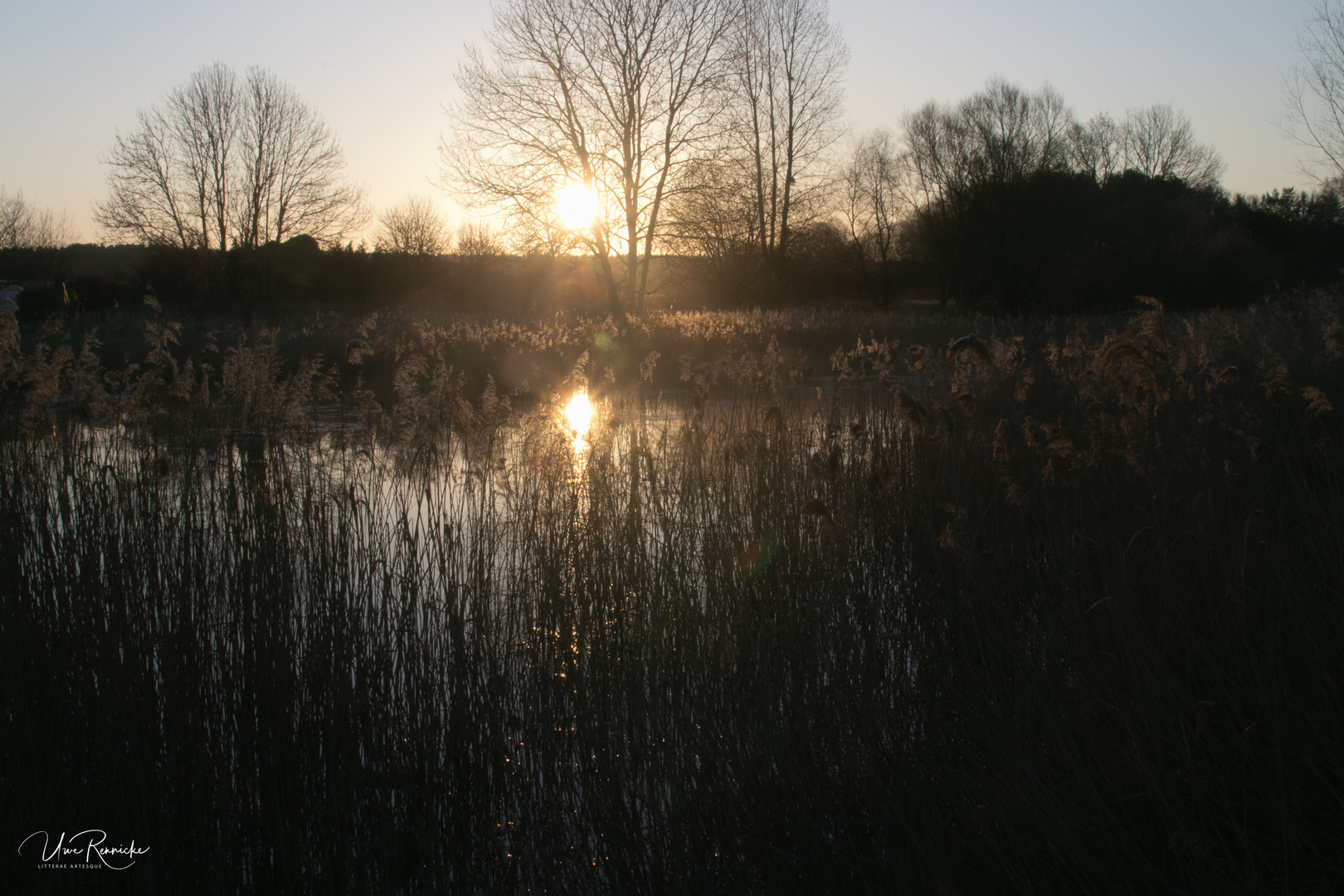 Sonnenaufgang überm "Erdbeertümpel"