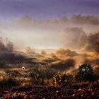 Sonnenaufgang überm Moor