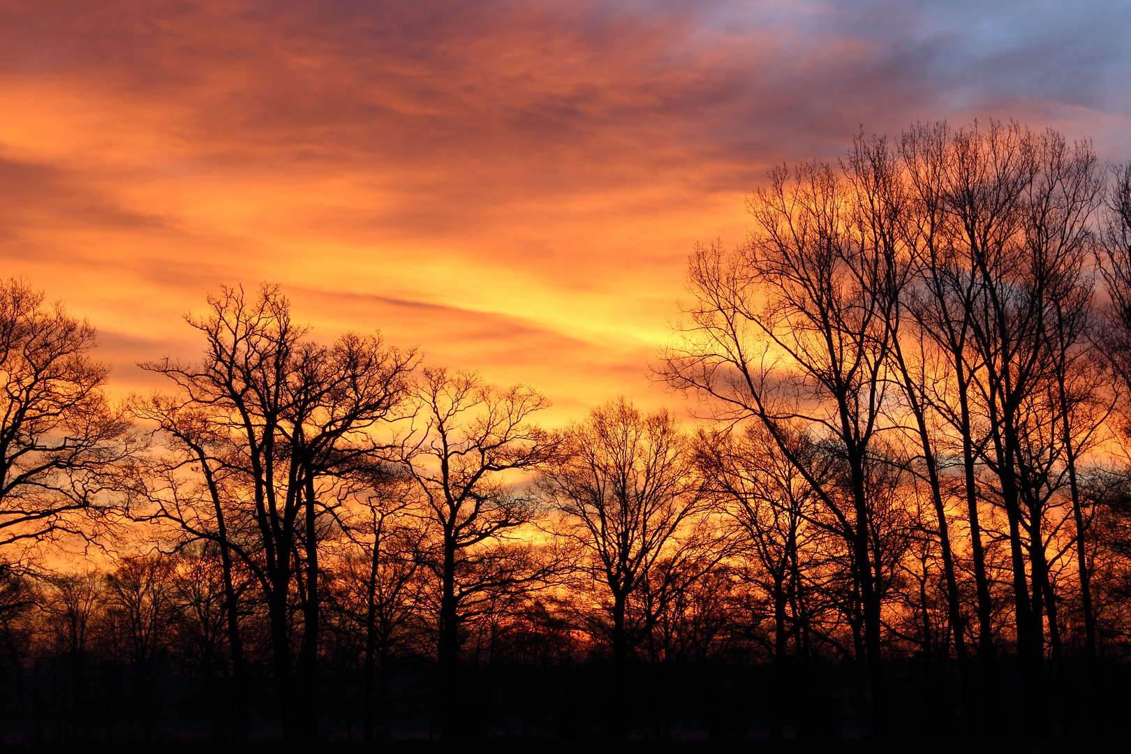 Sonnenaufgang überm Münsterland