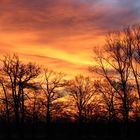 Sonnenaufgang überm Münsterland