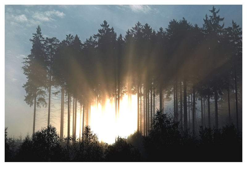 Sonnenaufgang überm " Zinser Rücken "