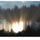 Sonnenaufgang überm " Zinser Rücken "