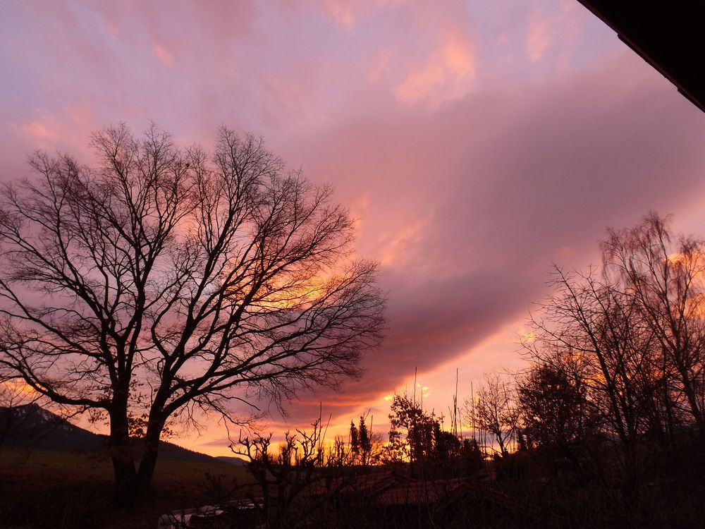 Sonnenaufgang über´n Osser - Lam Bayr. Wald