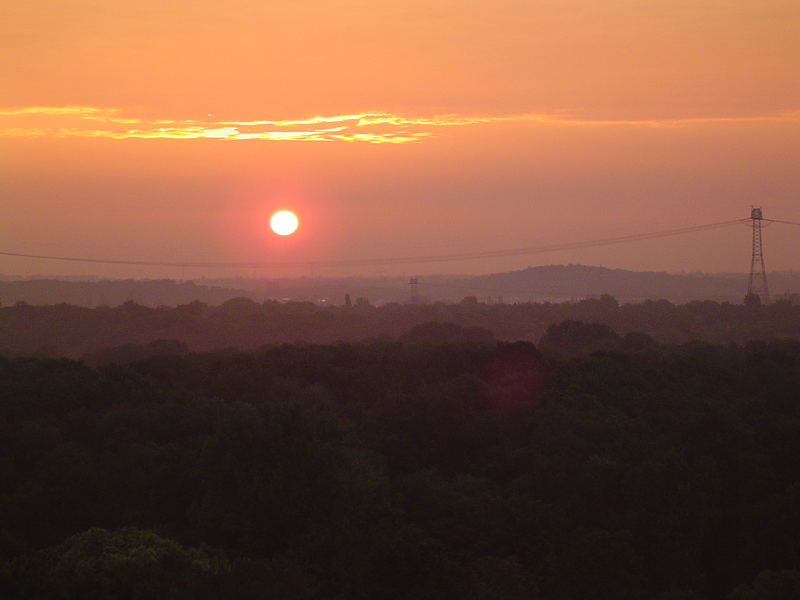 Sonnenaufgang üder dem Tierpark Berlin