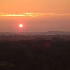 Sonnenaufgang üder dem Tierpark Berlin