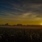 Sonnenaufgang und Bodennebel