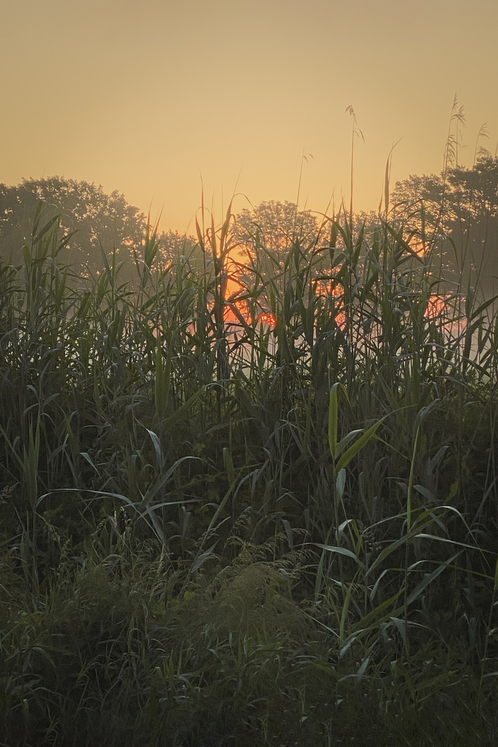 Sonnenaufgang und Dunst