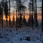 Sonnenaufgang und erstes Licht im Winterwald, Rothaarkamm