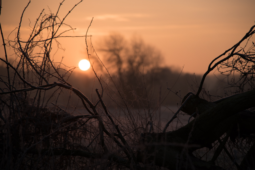 Sonnenaufgang und Frost