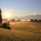 Sonnenaufgang und Frühnebel bei Hopfen am See