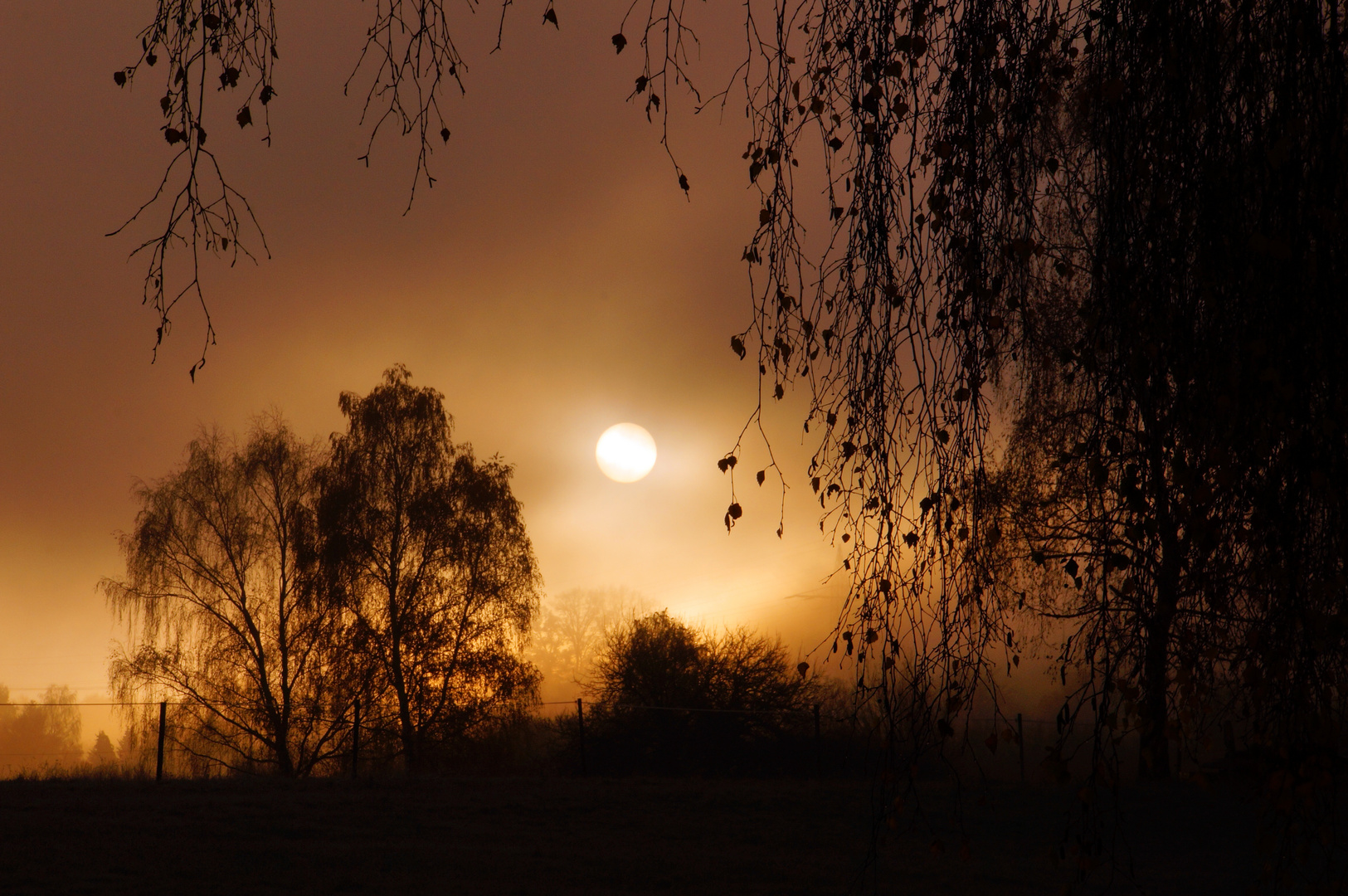 Sonnenaufgang und Nebel 