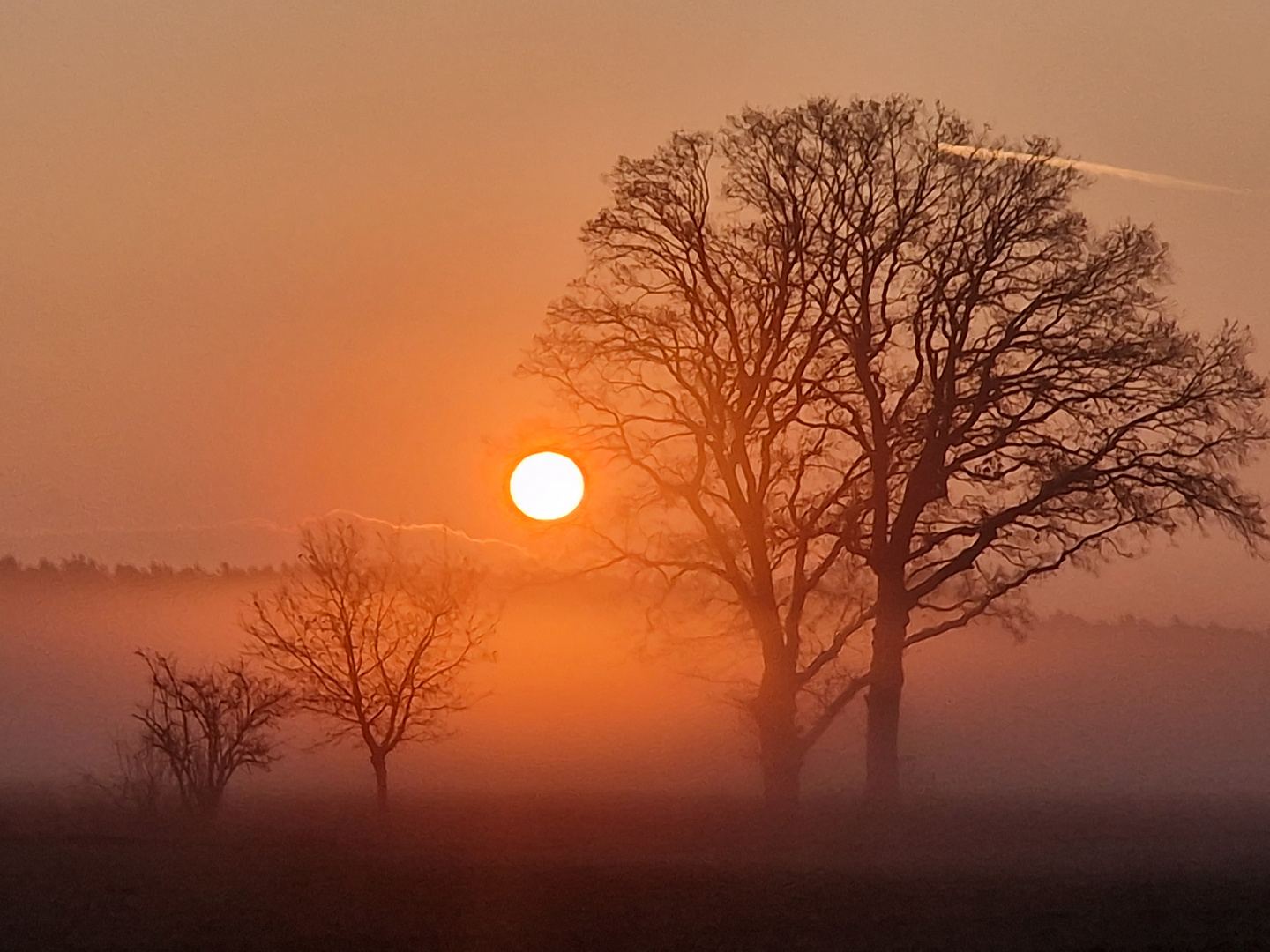 Sonnenaufgang und Nebel