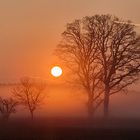 Sonnenaufgang und Nebel