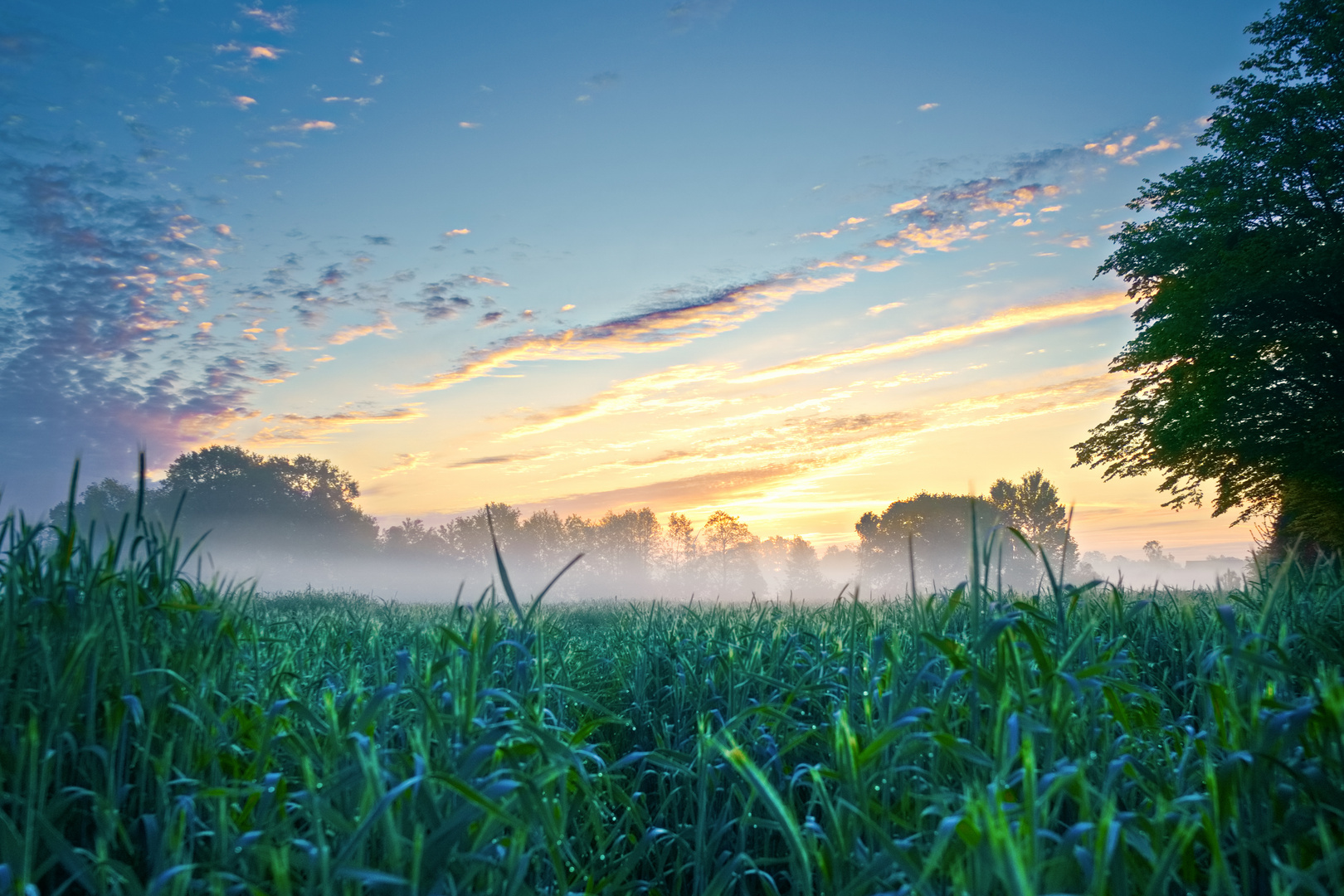 Sonnenaufgang und Nebel