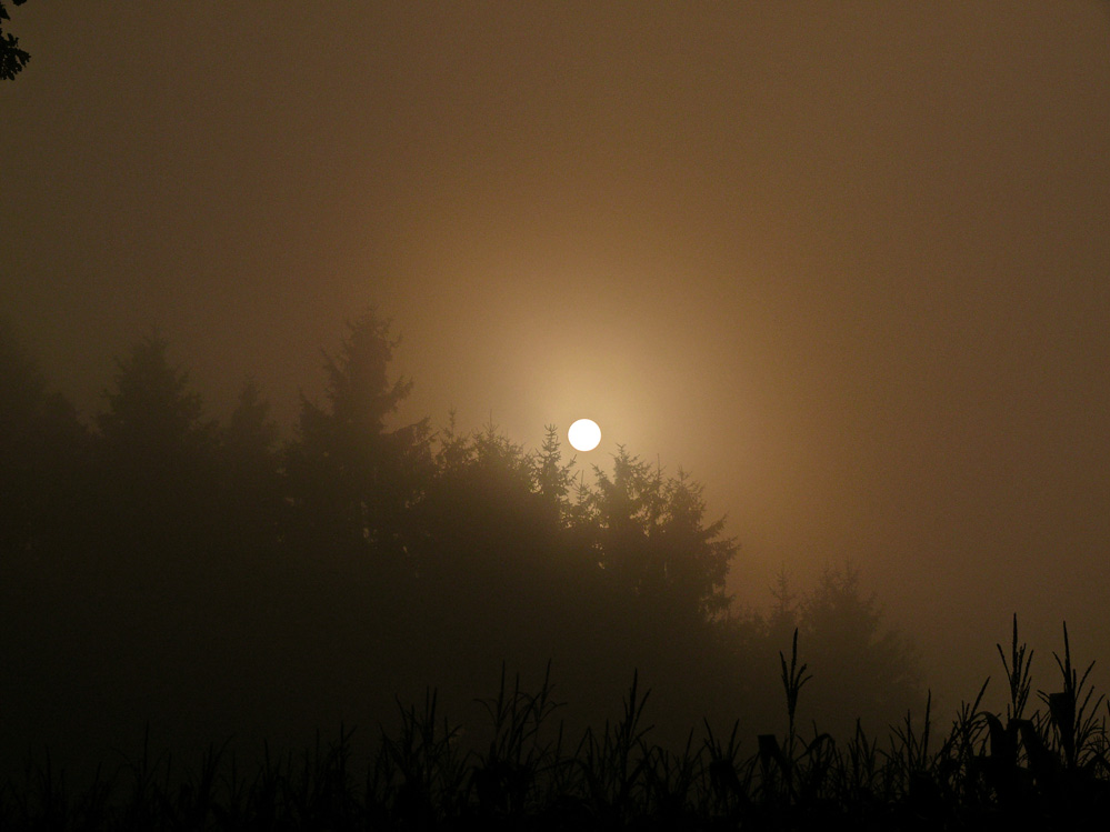 Sonnenaufgang und Nebel....