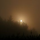 Sonnenaufgang und Nebel....