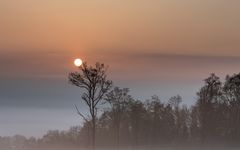 Sonnenaufgang und Nebel