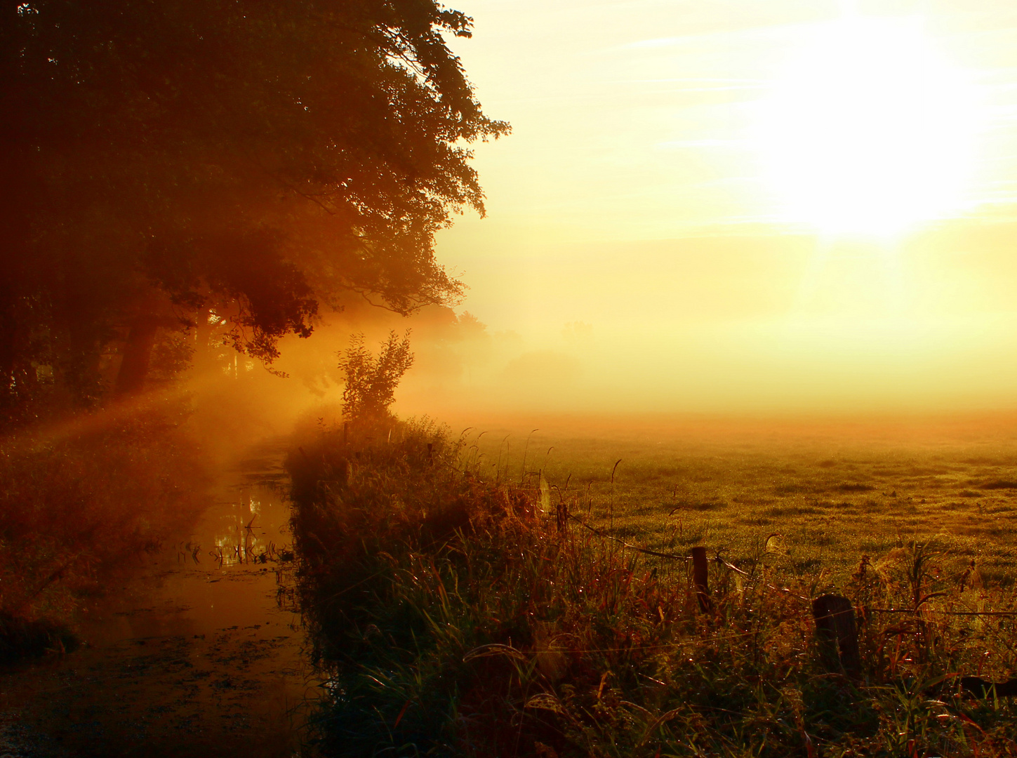 Sonnenaufgang und Nebel