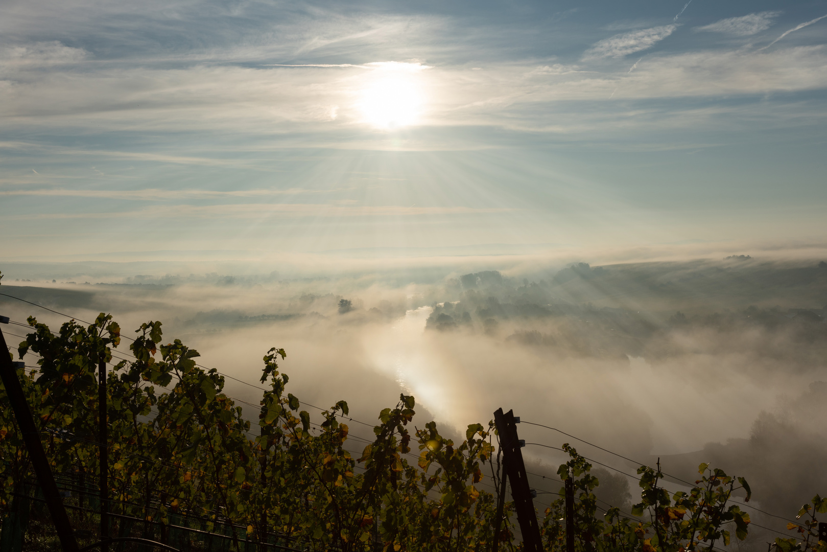 Sonnenaufgang und Nebel über der Mainschleife