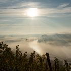 Sonnenaufgang und Nebel über der Mainschleife