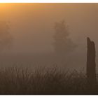 *** Sonnenaufgang und Nebelschwaden *** 