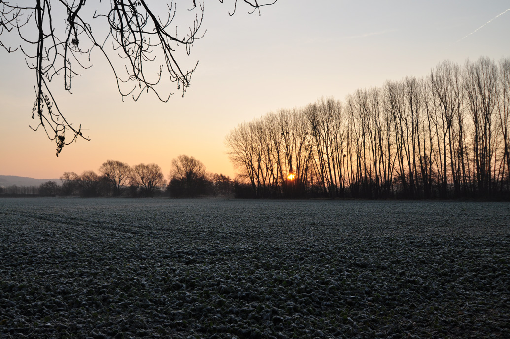 Sonnenaufgang und Rauhreif