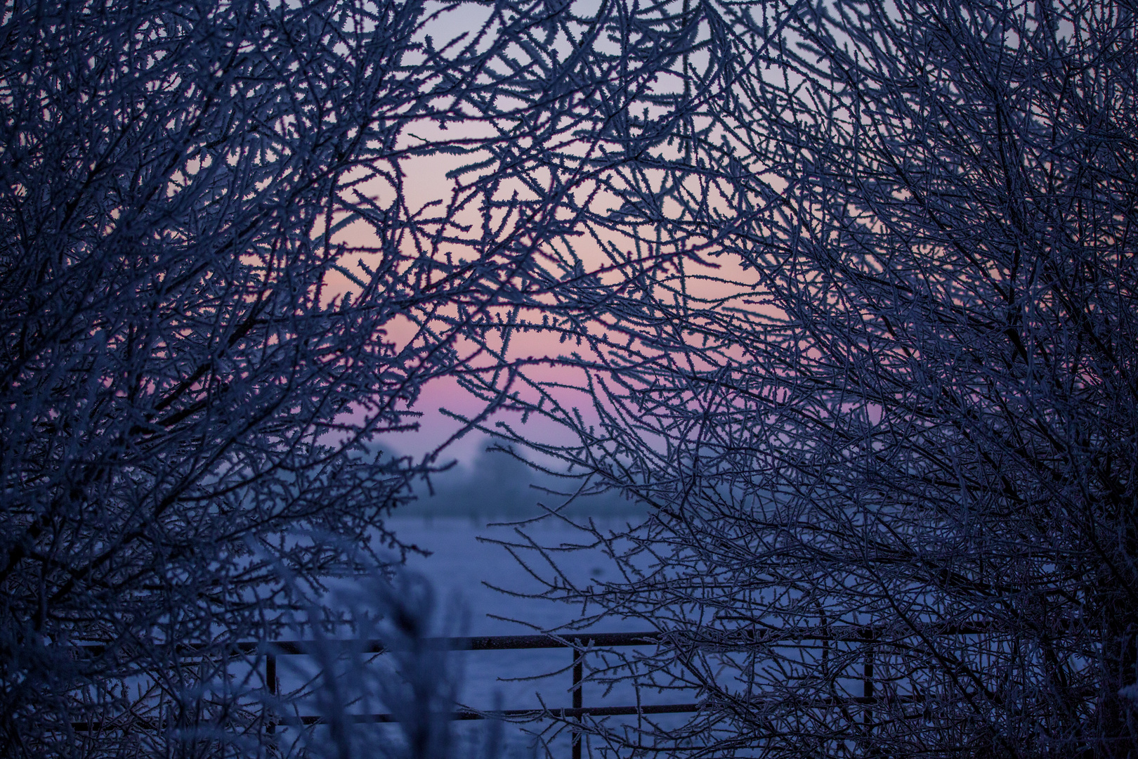 Sonnenaufgang und Raureif