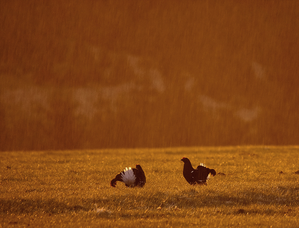 Sonnenaufgang und Regen . . .