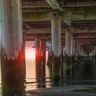 Sonnenaufgang unter dem Pier