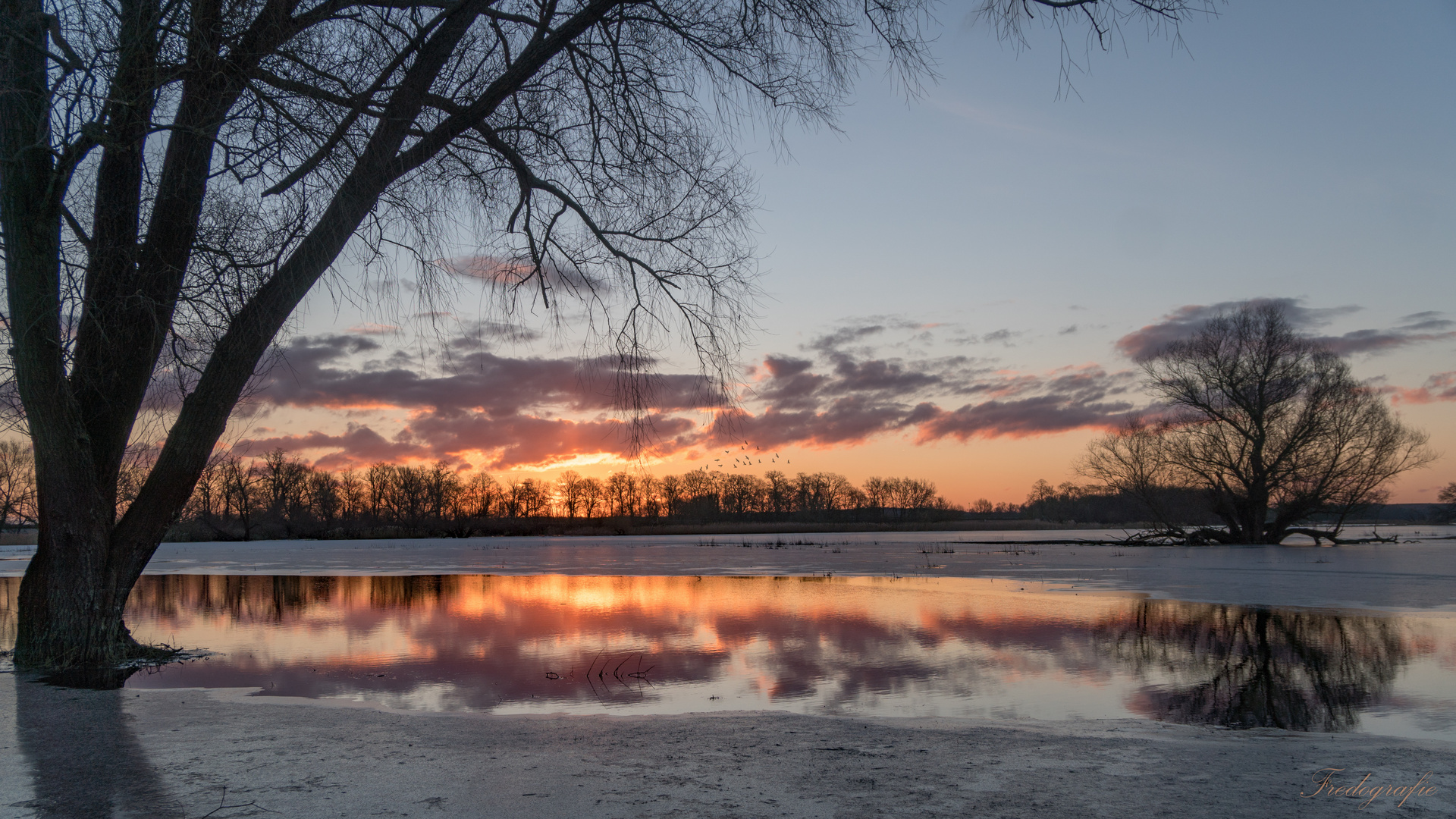 Sonnenaufgang Unteres Odertal