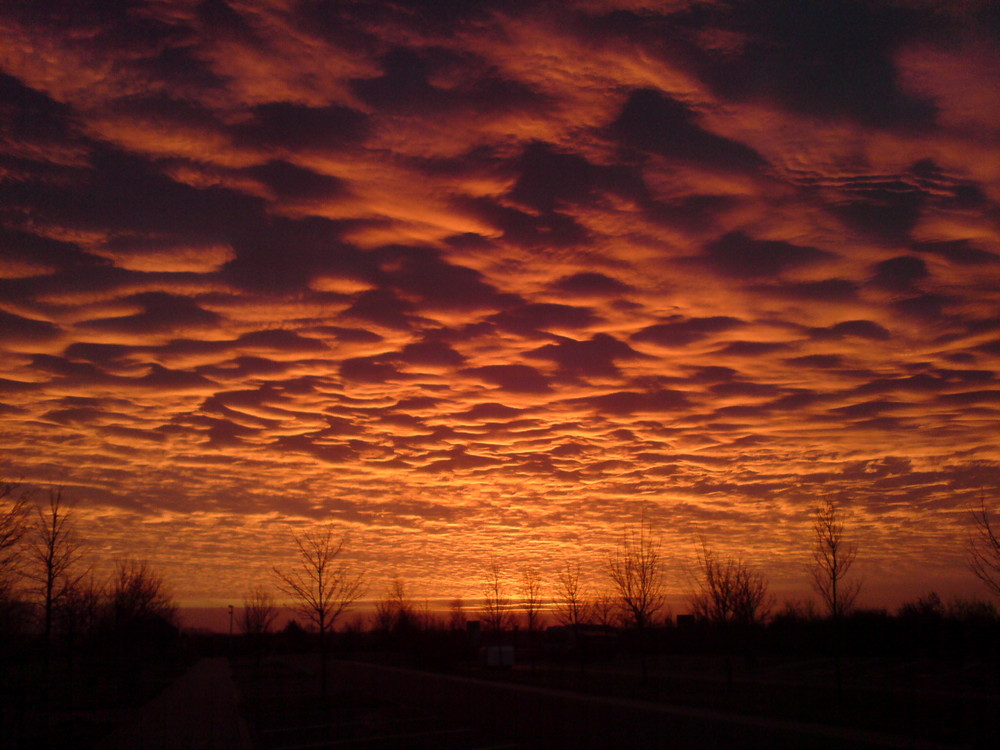 Sonnenaufgang unterm Himmelsmeer