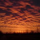 Sonnenaufgang unterm Himmelsmeer