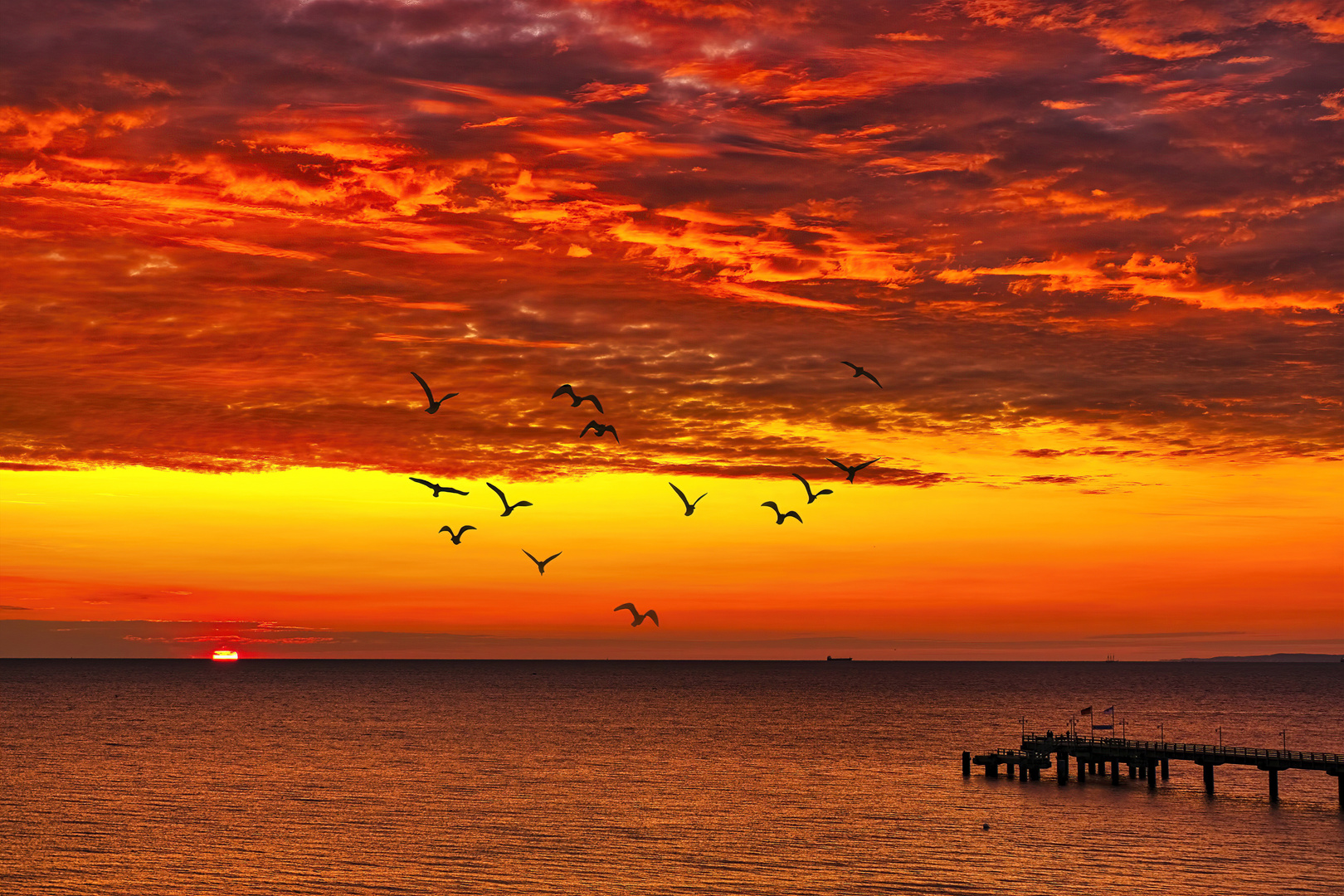 Sonnenaufgang Usedom Ostsee