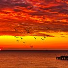 Sonnenaufgang Usedom Ostsee